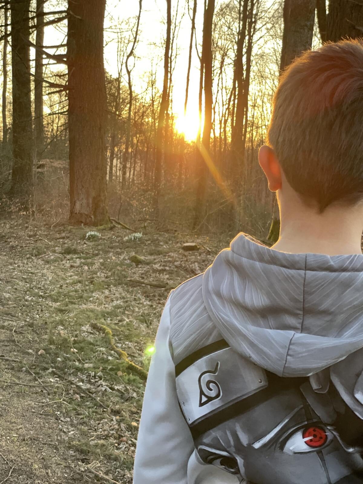 Naturgestützte Angebote